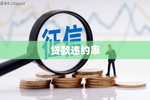 黄平贷款违约率