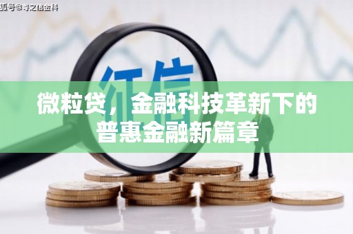 黄平微粒贷，金融科技革新下的普惠金融新篇章