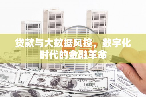 黄平贷款与大数据风控，数字化时代的金融革命