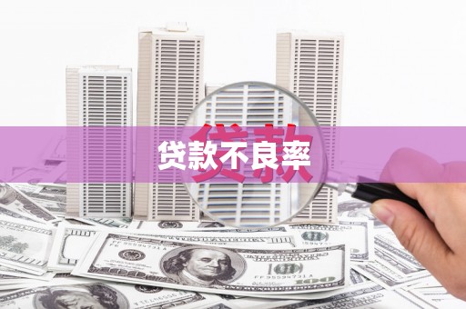 黄平贷款不良率