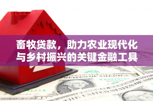 黄平畜牧贷款，助力农业现代化与乡村振兴的关键金融工具