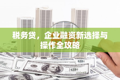 黄平税务贷，企业融资新选择与操作全攻略