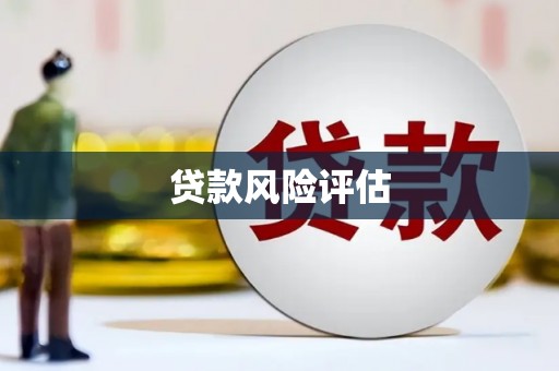 黄平贷款风险评估