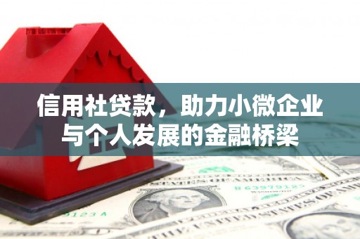 黄平信用社贷款，助力小微企业与个人发展的金融桥梁