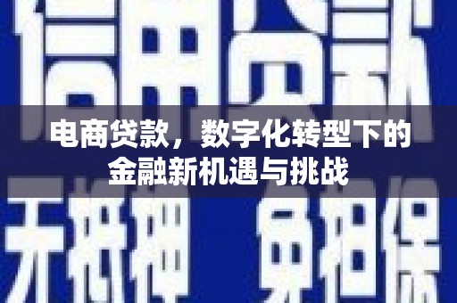 黄平电商贷款，数字化转型下的金融新机遇与挑战