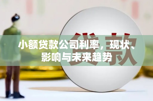 黄平小额贷款公司利率，现状、影响与未来趋势
