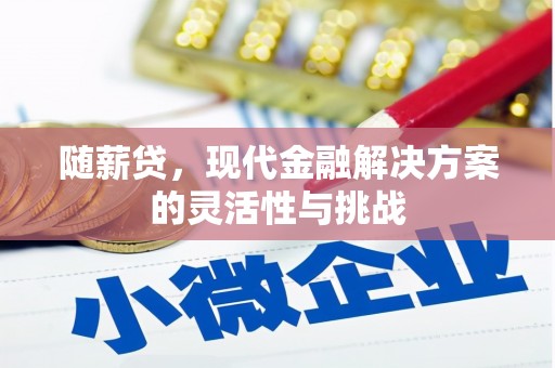 黄平随薪贷，现代金融解决方案的灵活性与挑战