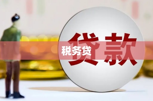 黄平税务贷