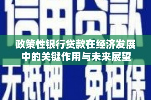黄平政策性银行贷款在经济发展中的关键作用与未来展望