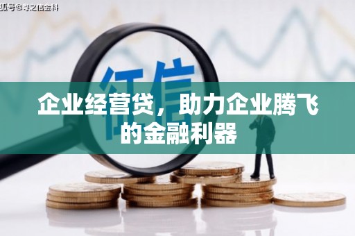 黄平企业经营贷，助力企业腾飞的金融利器
