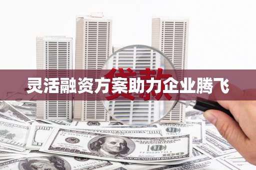 黄平灵活融资方案助力企业腾飞