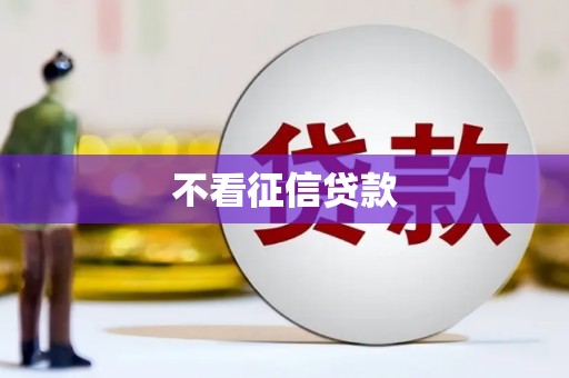 黄平不看征信贷款