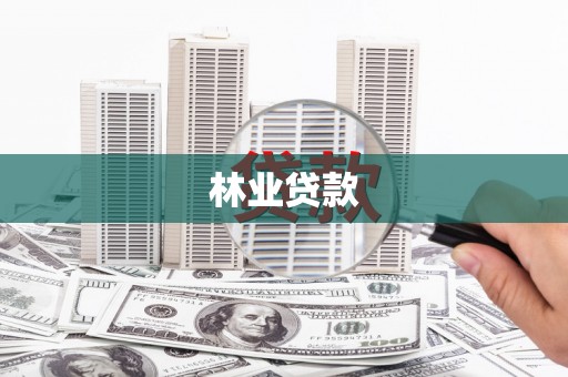 黄平林业贷款