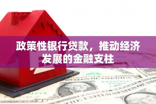 黄平政策性银行贷款，推动经济发展的金融支柱