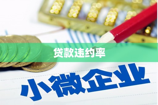 黄平贷款违约率