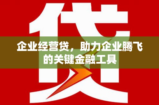 黄平企业经营贷，助力企业腾飞的关键金融工具