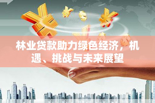 黄平林业贷款助力绿色经济，机遇、挑战与未来展望