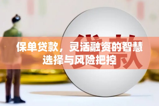 黄平保单贷款，灵活融资的智慧选择与风险把控