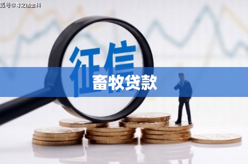 黄平畜牧贷款