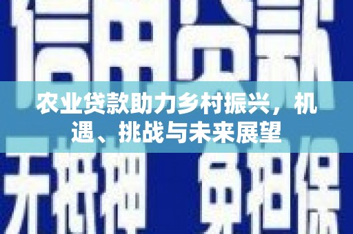 黄平农业贷款助力乡村振兴，机遇、挑战与未来展望