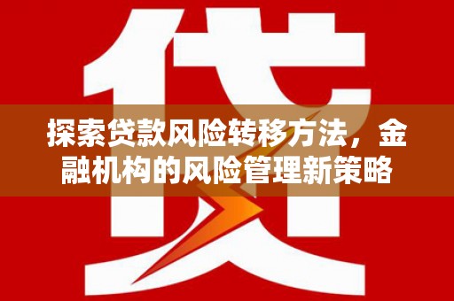 黄平探索贷款风险转移方法，金融机构的风险管理新策略