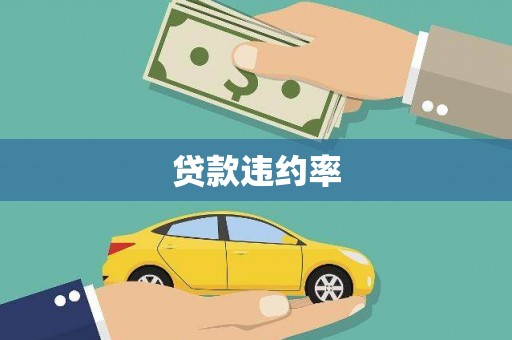 黄平贷款违约率