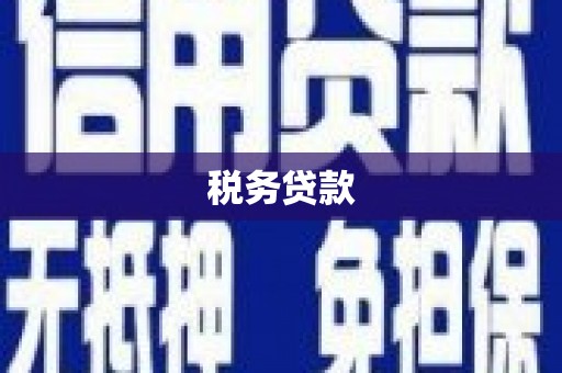 黄平税务贷款