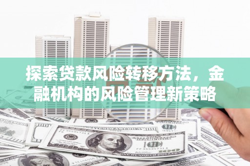 黄平探索贷款风险转移方法，金融机构的风险管理新策略