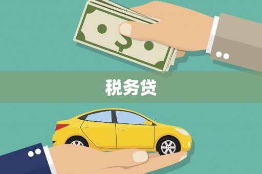黄平税务贷