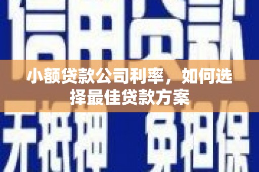 黄平小额贷款公司利率，如何选择最佳贷款方案