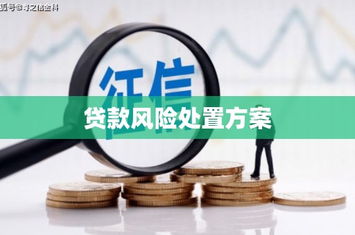 黄平贷款风险处置方案