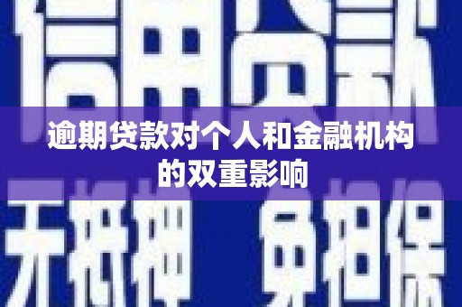 黄平逾期贷款对个人和金融机构的双重影响