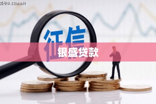 黄平银盛贷款