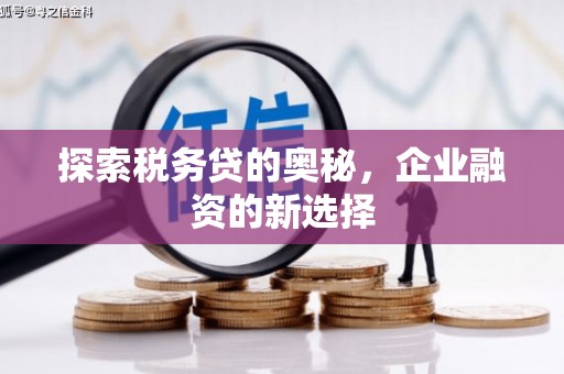 黄平探索税务贷的奥秘，企业融资的新选择