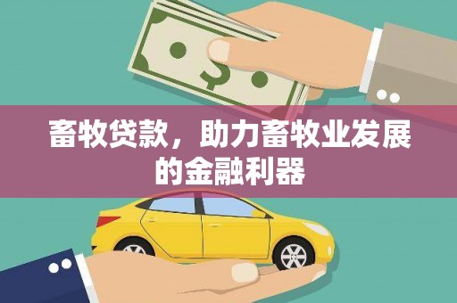 黄平畜牧贷款，助力畜牧业发展的金融利器