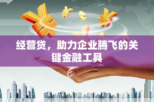 黄平经营贷，助力企业腾飞的关键金融工具