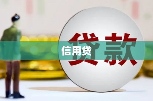 黄平信用贷