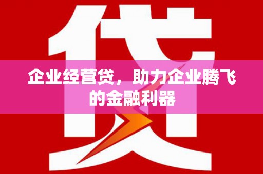 黄平企业经营贷，助力企业腾飞的金融利器