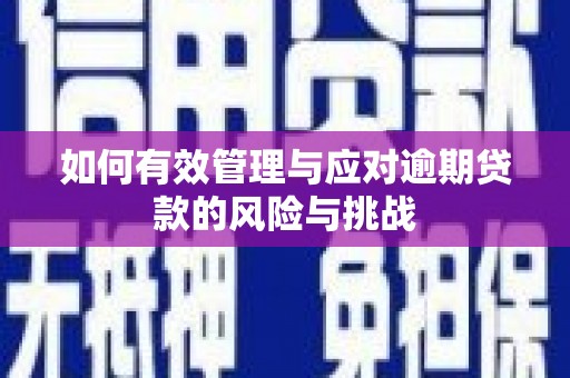 黄平如何有效管理与应对逾期贷款的风险与挑战