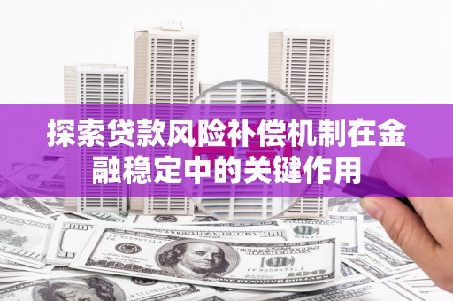 黄平探索贷款风险补偿机制在金融稳定中的关键作用