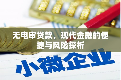 黄平无电审贷款，现代金融的便捷与风险探析
