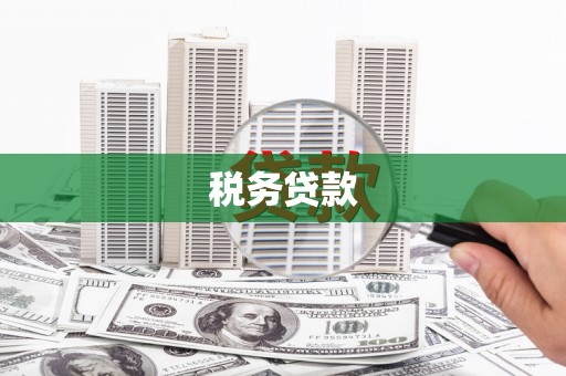 黄平税务贷款