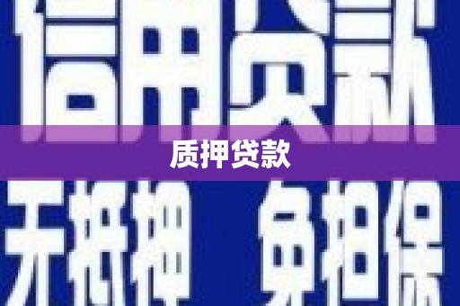 黄平质押贷款