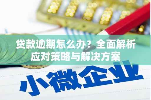 黄平贷款逾期怎么办？全面解析应对策略与解决方案