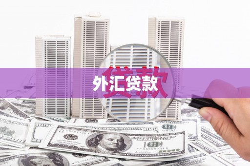 黄平外汇贷款