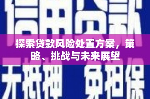 黄平探索贷款风险处置方案，策略、挑战与未来展望