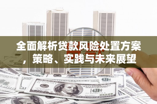 黄平全面解析贷款风险处置方案，策略、实践与未来展望