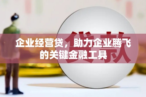 黄平企业经营贷，助力企业腾飞的关键金融工具
