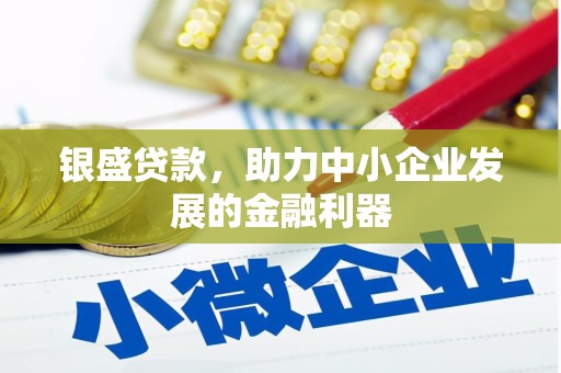 黄平银盛贷款，助力中小企业发展的金融利器