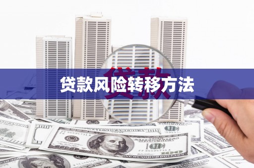 黄平贷款风险转移方法